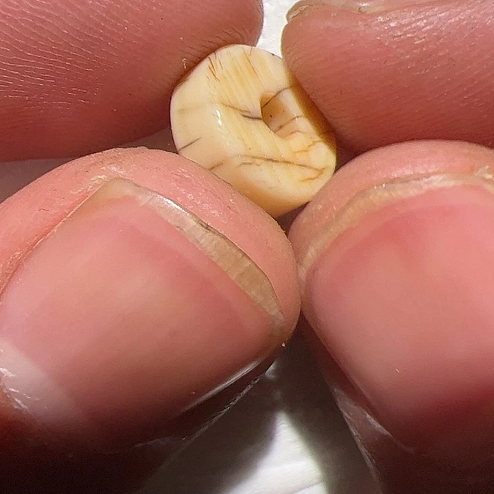 香榧木你的时候你是