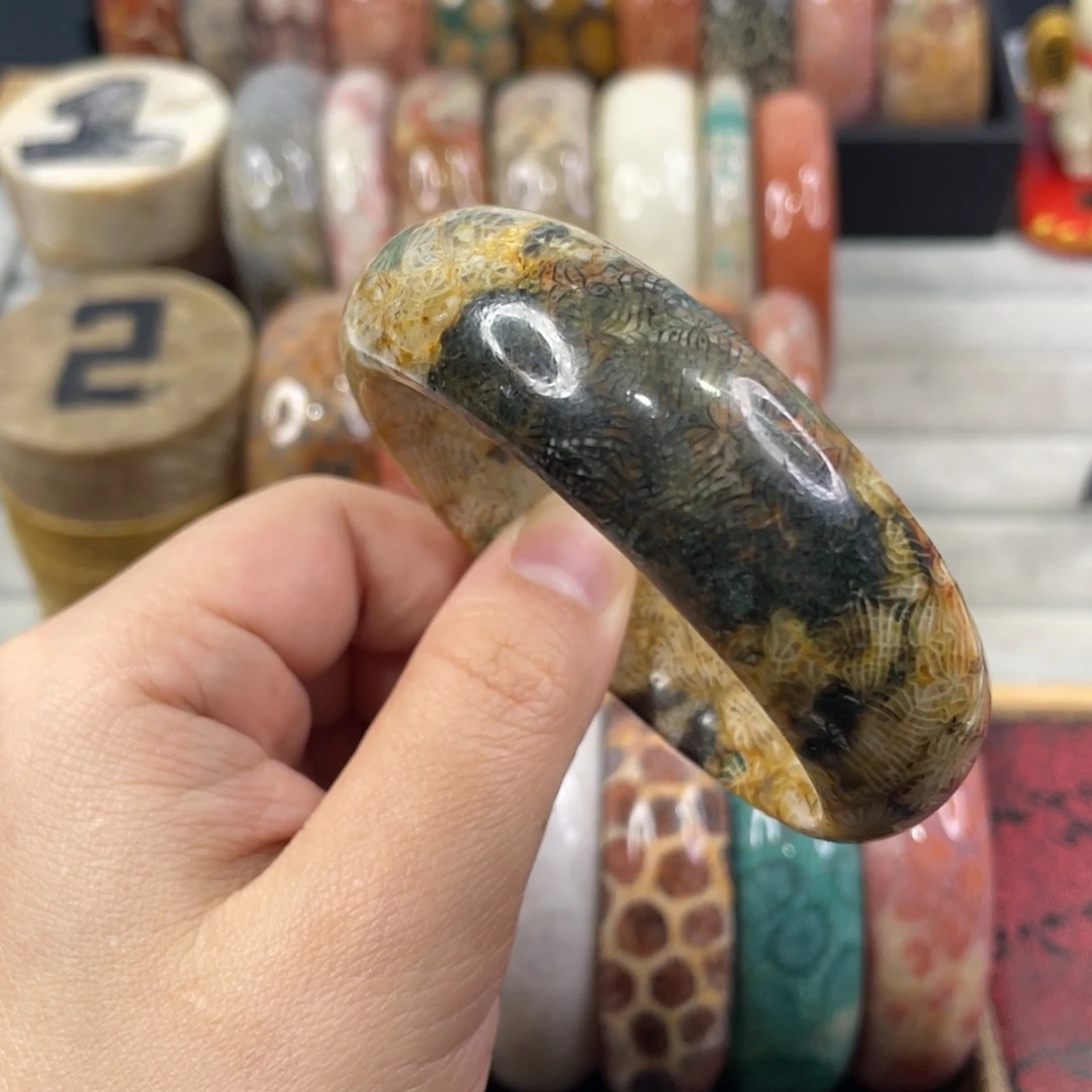 未镶嵌手镯硅化玉