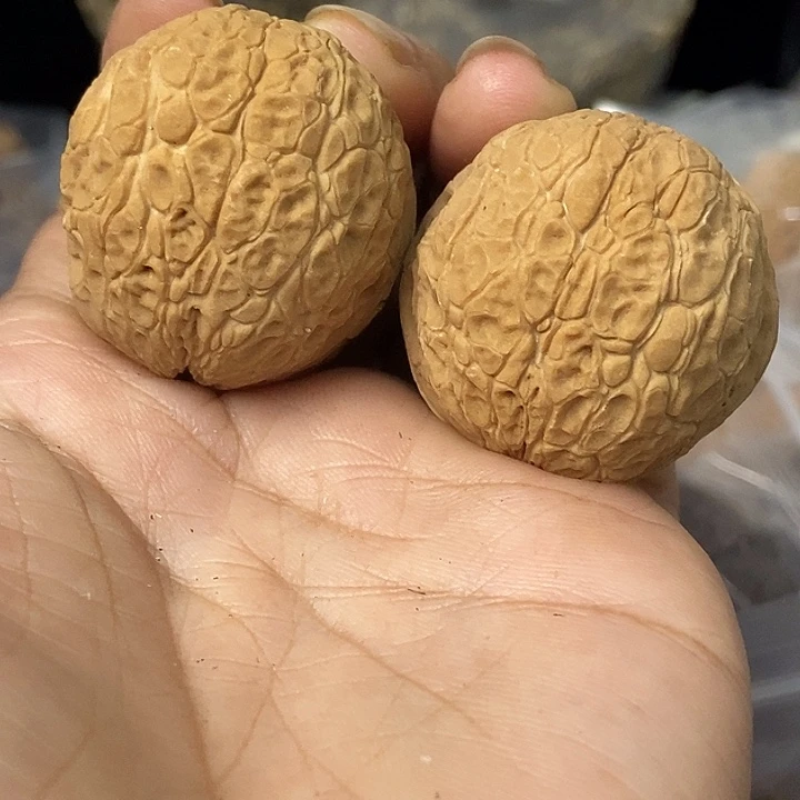 把件文玩核桃云南铁核桃基地37