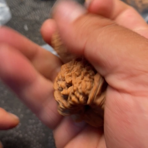 文玩核桃把件137品种