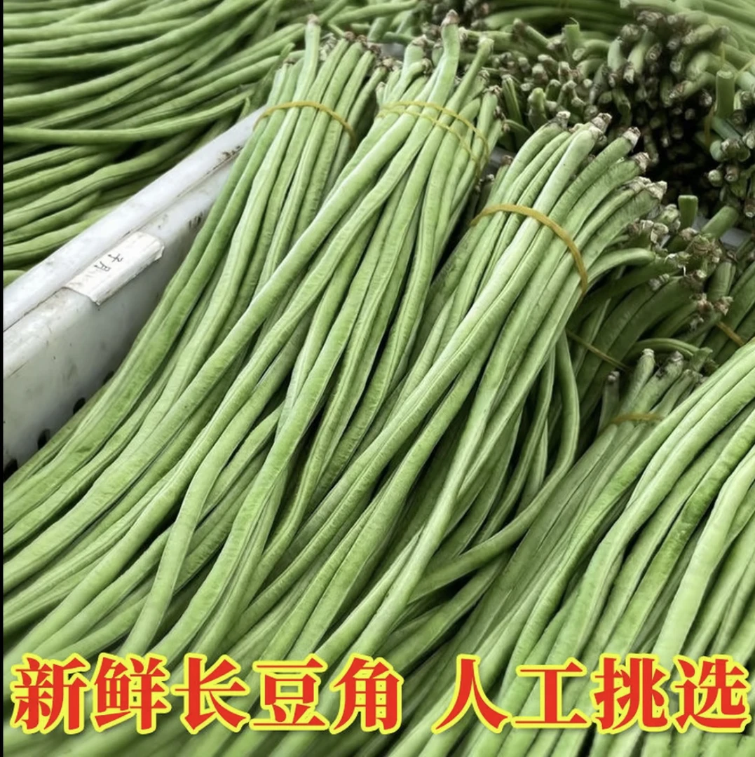 新鲜豆角豇豆农家自种豆角豆橛子长豆角山东应季蔬菜现摘现发