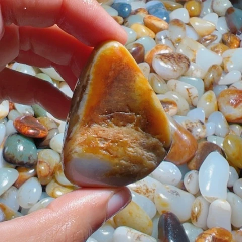 和田玉（糖玉）手链未镶嵌15