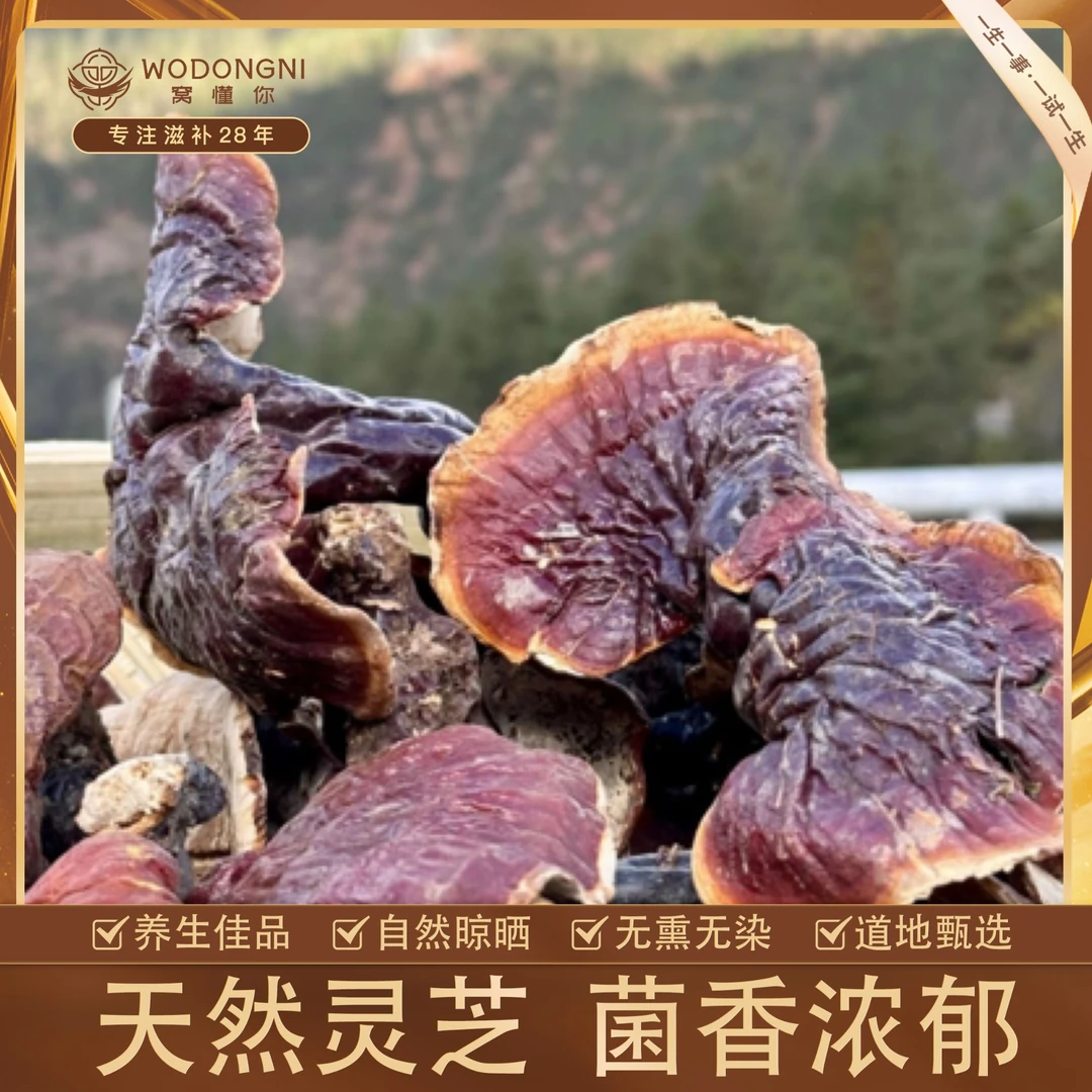 窝懂你西藏白肉小灵芝。