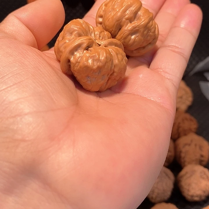 异形连体小蛤蟆一对