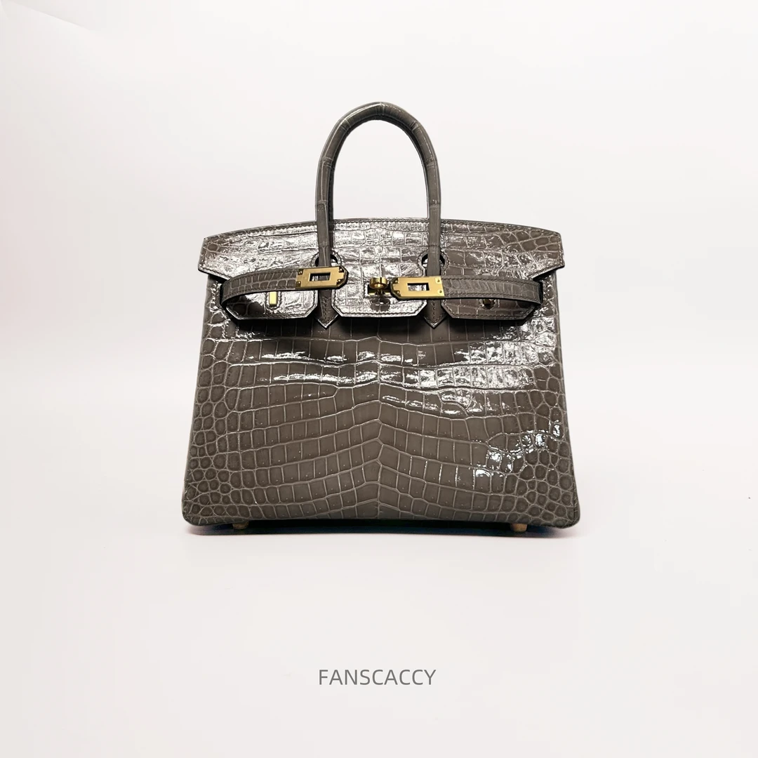 【梵卡奇甄选】bk30高光尼罗黑色女包-轻奢小众女包-FANSCACCY