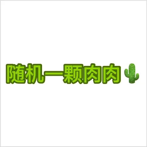 随机一颗多肉植物