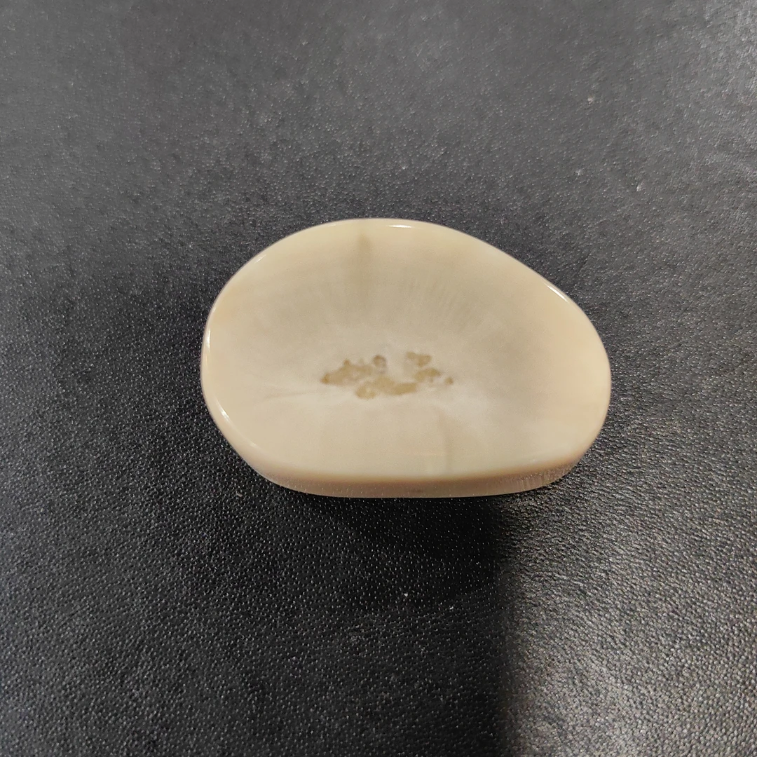 猛犸猛犸虬饼子 WT269