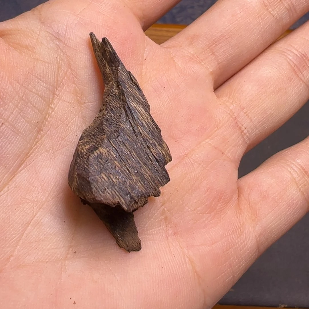 沉香沉香碎屑海南沉水70年代糖结鸡母虫漏1.9克