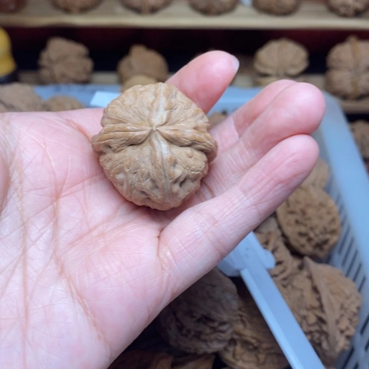 静***朗把件文玩核桃文玩