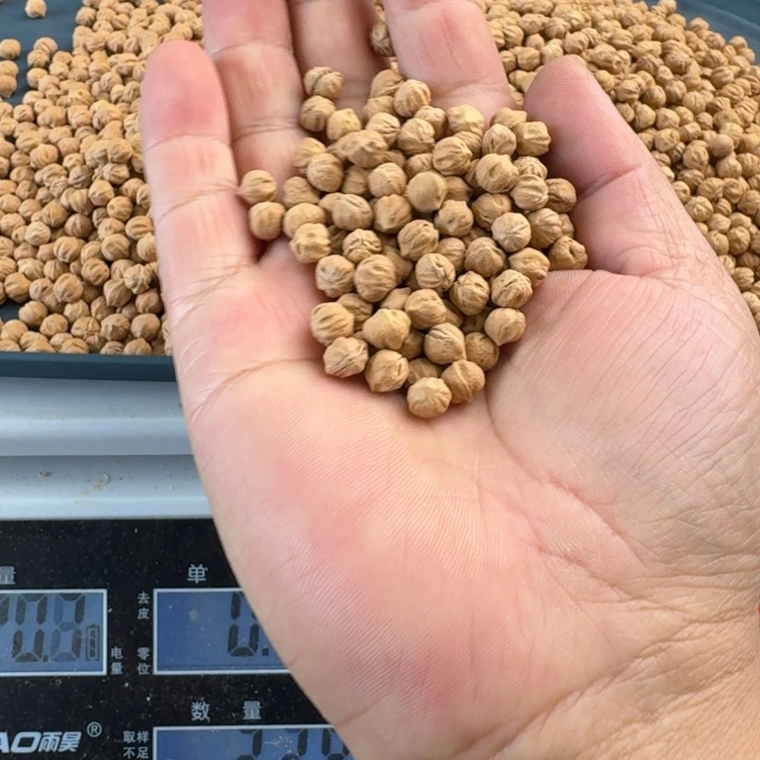 柏香籽/百香籽吊坠7+50克HY016