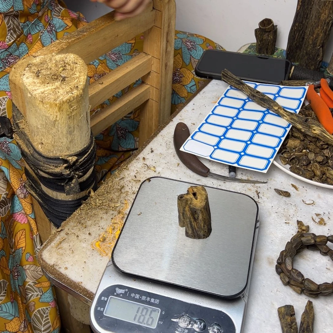 线香奇楠虫漏香18克