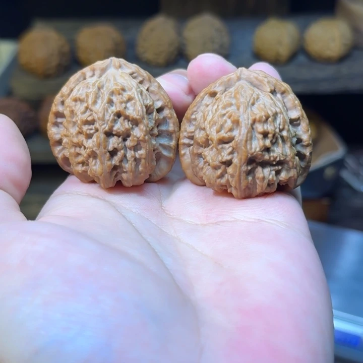 知****文玩核桃把件全品40管理白狮子