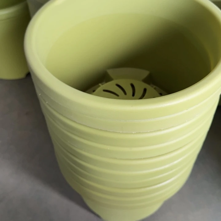 编号编号编号2407