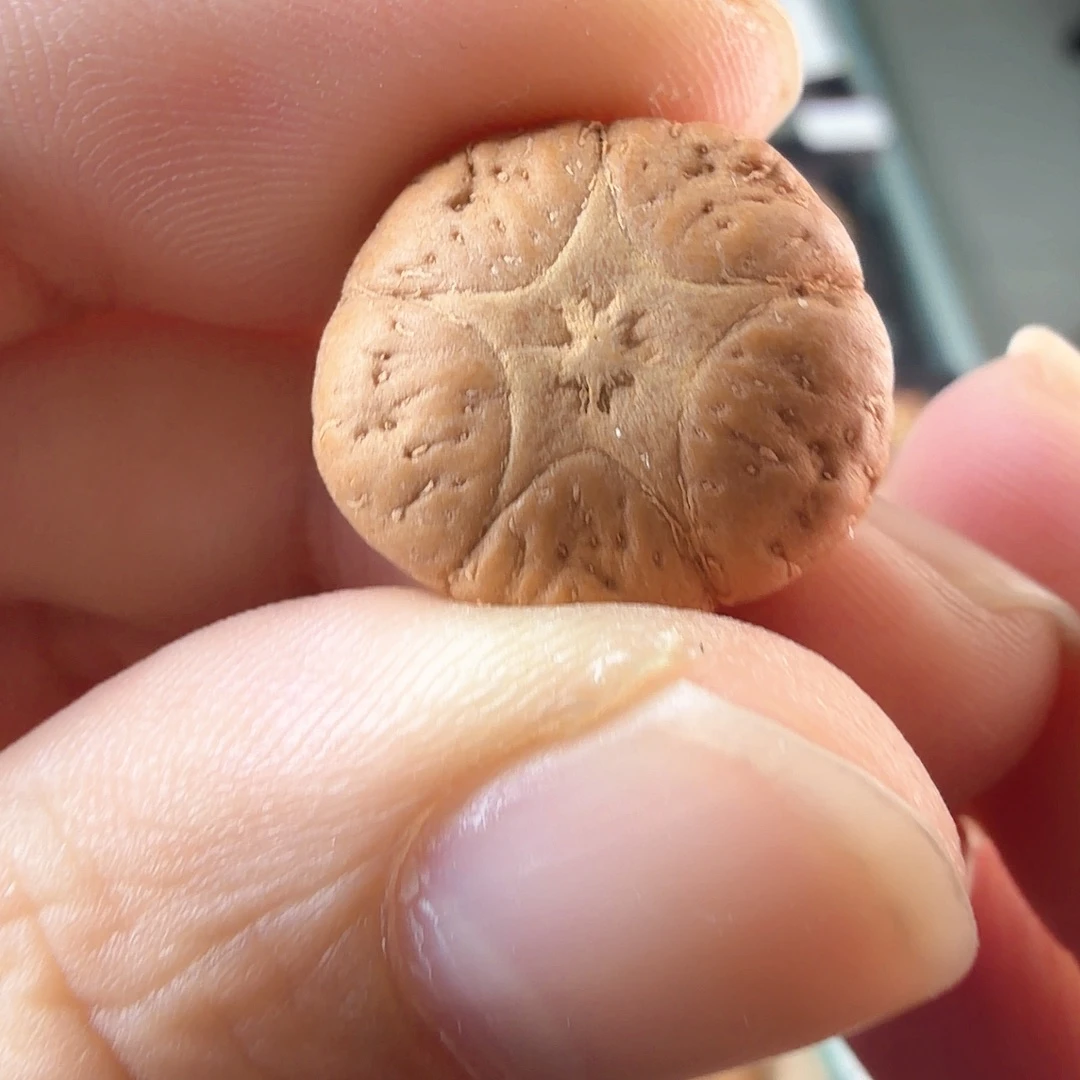 吊坠凤眼菩提3338打三通