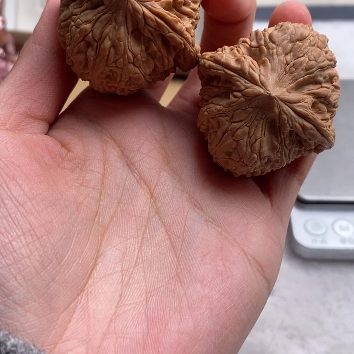 文玩核桃吊坠滴*溜泥鳅