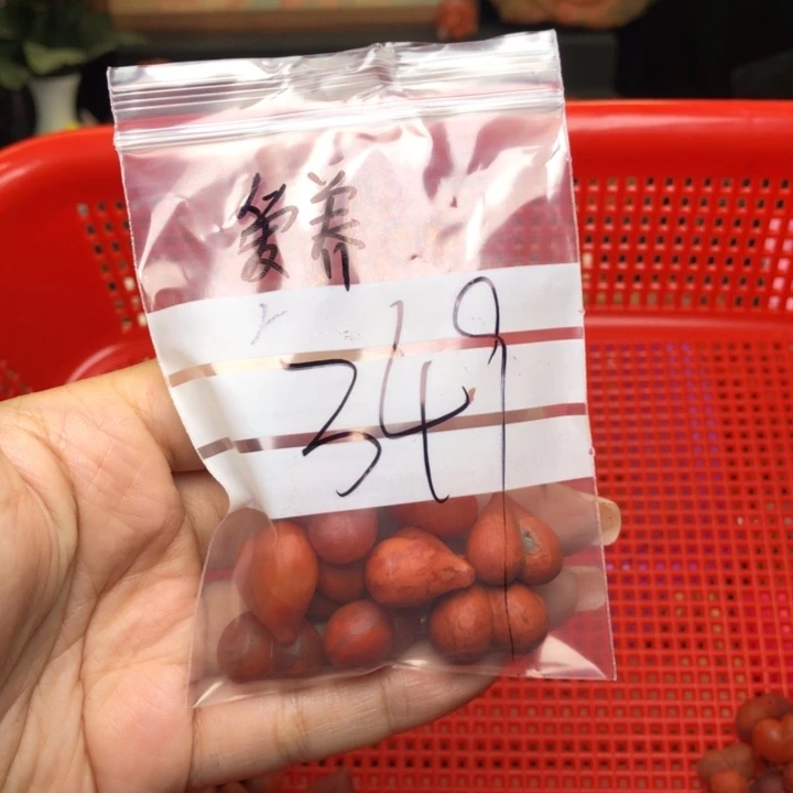南红玛瑙未镶嵌吊坠(不含链)爱****牛