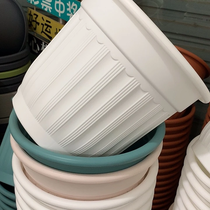 罗马口28高24白4个无托