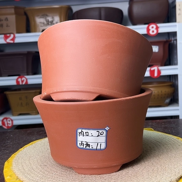 紫砂花盆蛇年大吉