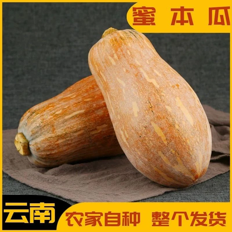 【老南瓜5-9斤】老品种南瓜云南高山种植