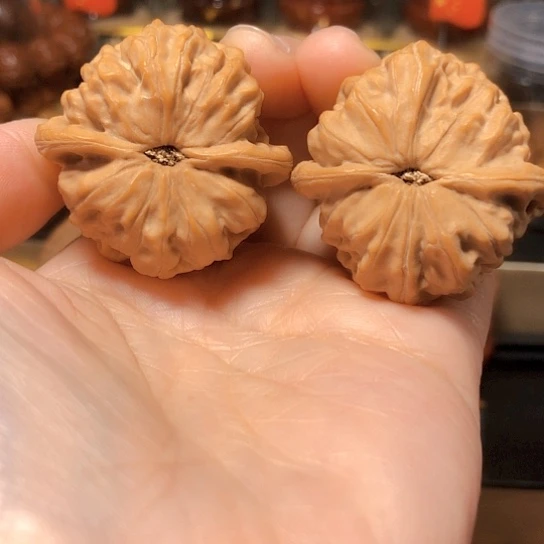 清*野野生小众：平谷霸王39尺