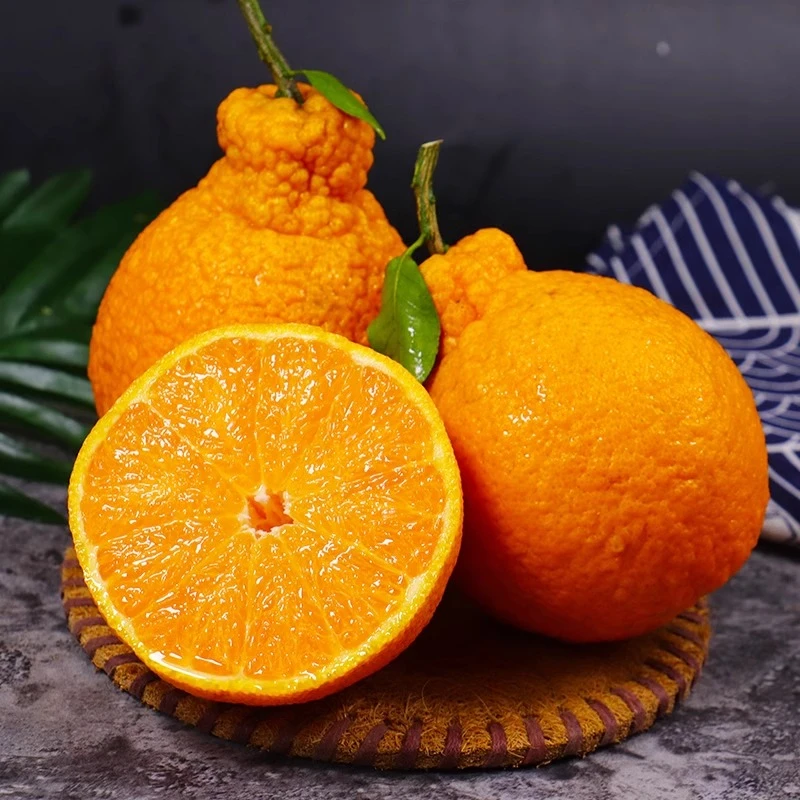 正宗四川不知火丑橘丑柑产地直发 大果4.5/8斤装 单果70-85mm新鲜