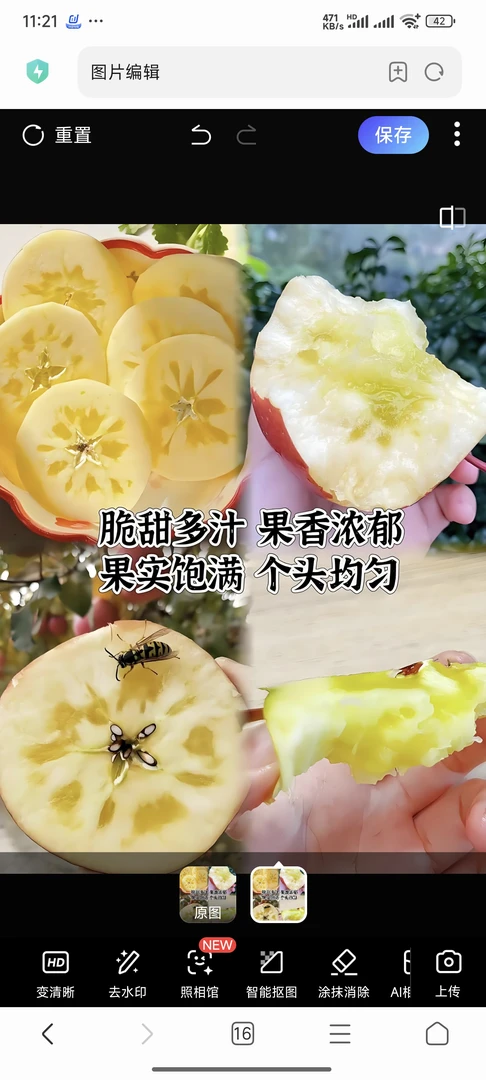 绿植苹果盆栽基良心经营