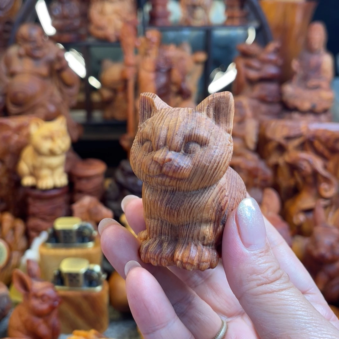 松木（琥珀木）其他小猫