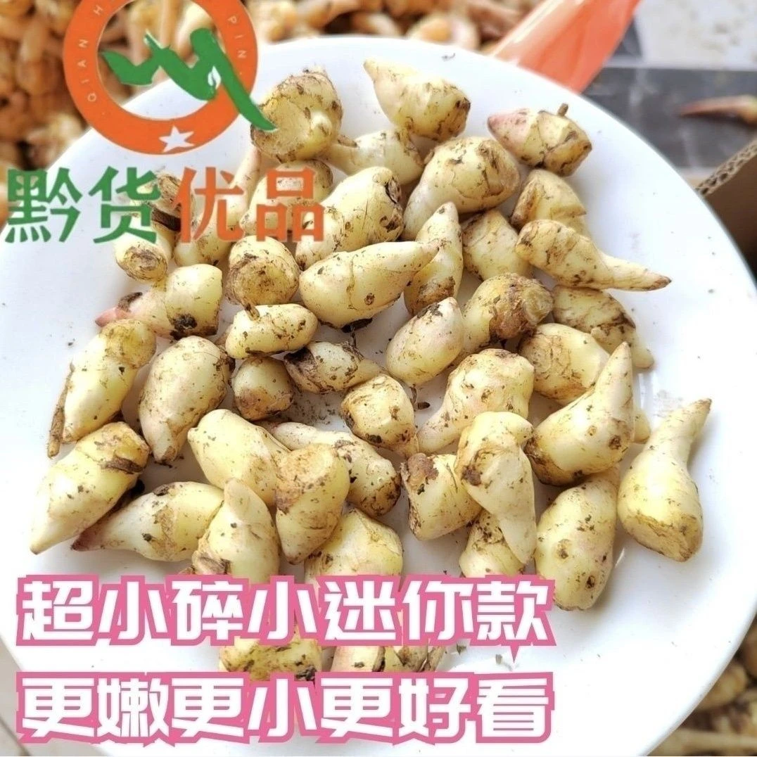 【新鲜嫩姜芽】糖醋酸辣泡姜手工农家腌制开胃泡菜食用新鲜小个仔姜