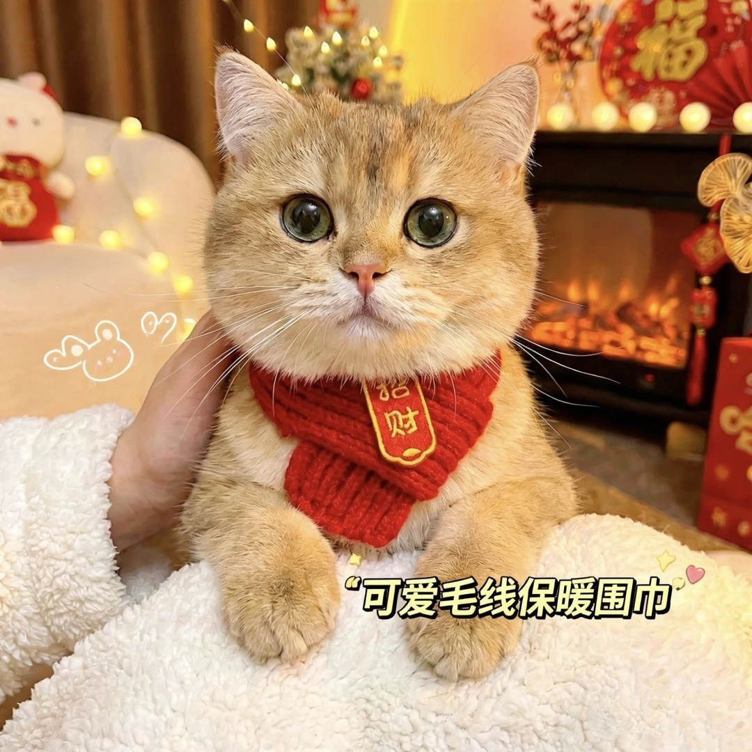 【新年礼物】猫咪狗宠物围脖针织保暖红色围巾脖好寓意创意手工围脖