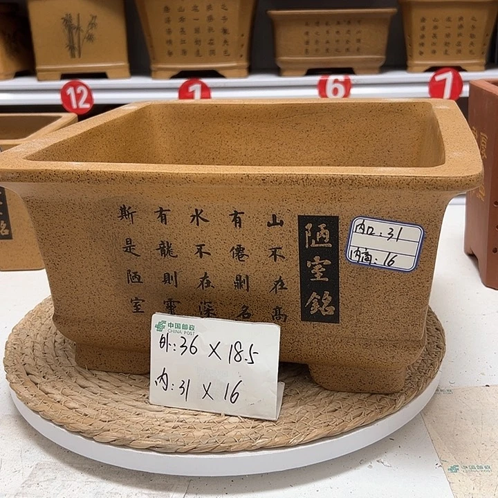 紫砂花盆蛇年大吉