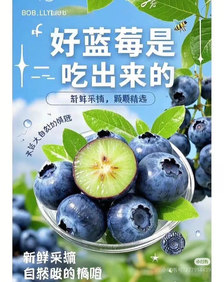 【顺丰包邮/EMS航空件】蓝莓当季新鲜酸甜多汁大颗饱满产地直发