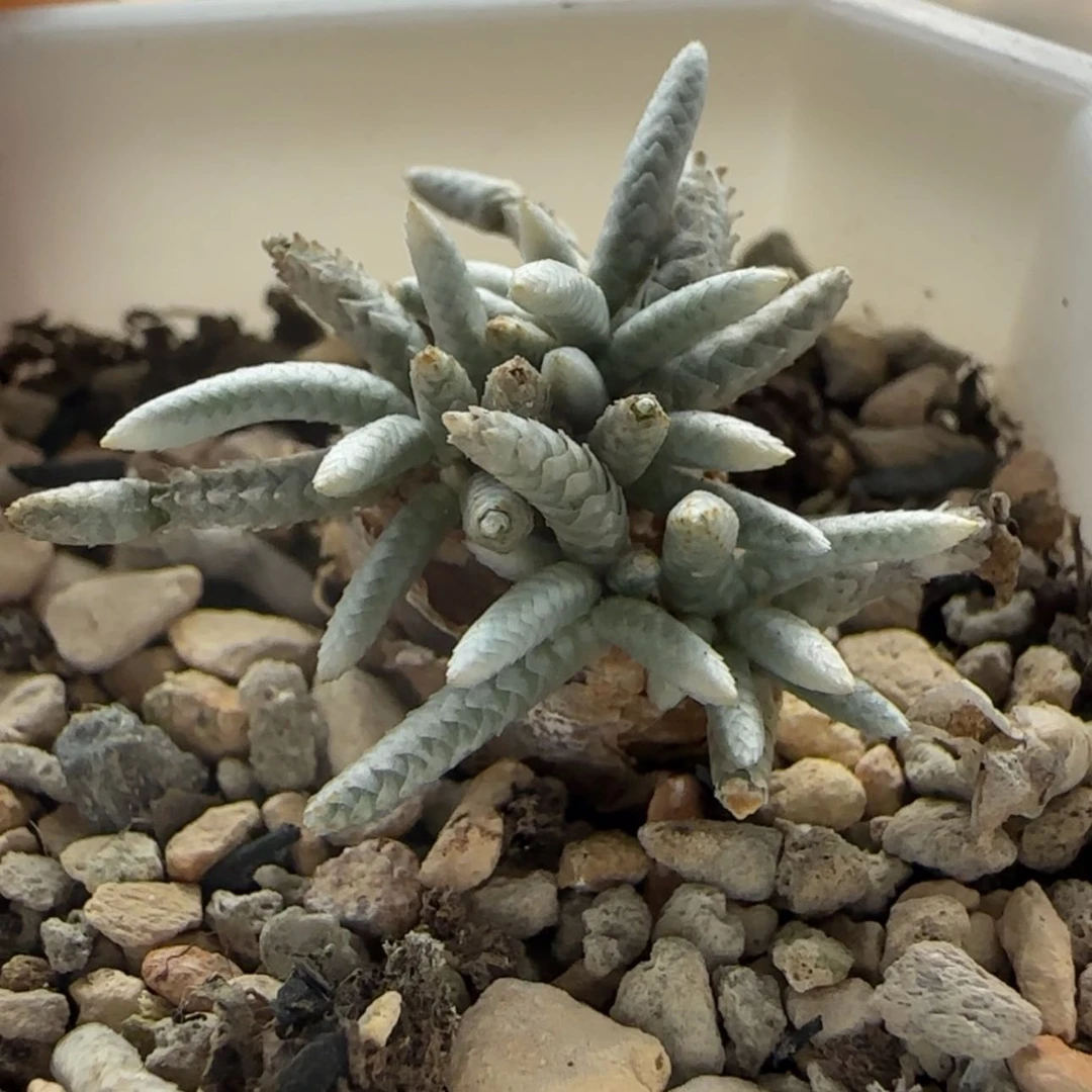 【闪购商品】0848