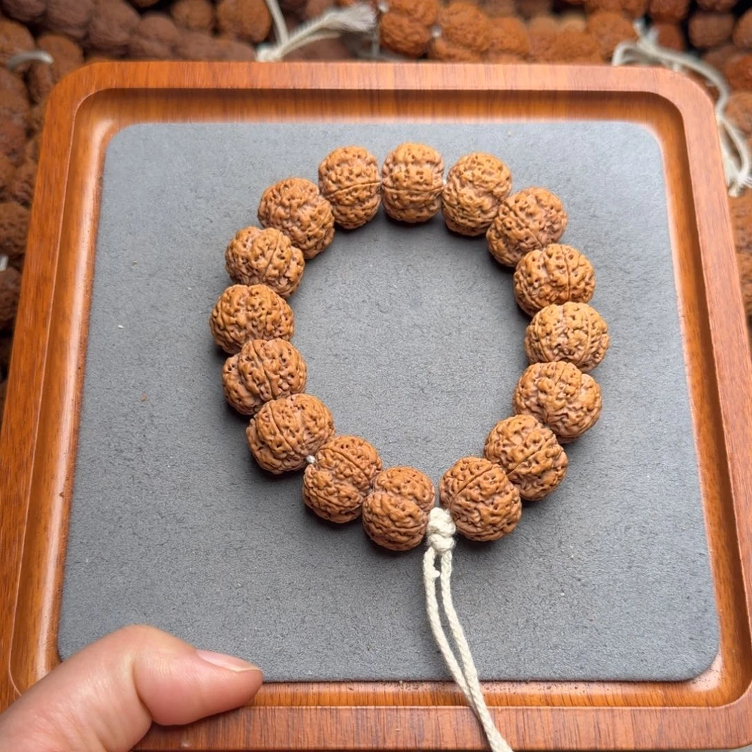 菩提菩提23号尼泊尔大金刚20+/21方顿梅花