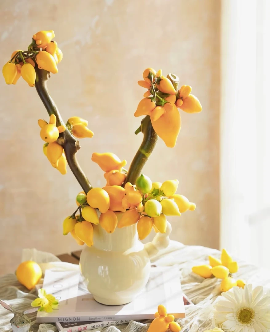 云南直发五代同堂果小猪佩奇乳茄鲜切鲜花超长花期可干养--