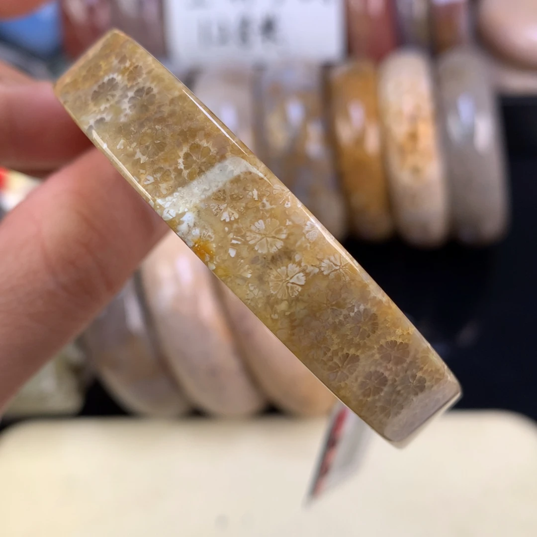 硅化珊瑚（珊瑚玉）未镶嵌吊坠(赠链)上新52.7圈（66号）