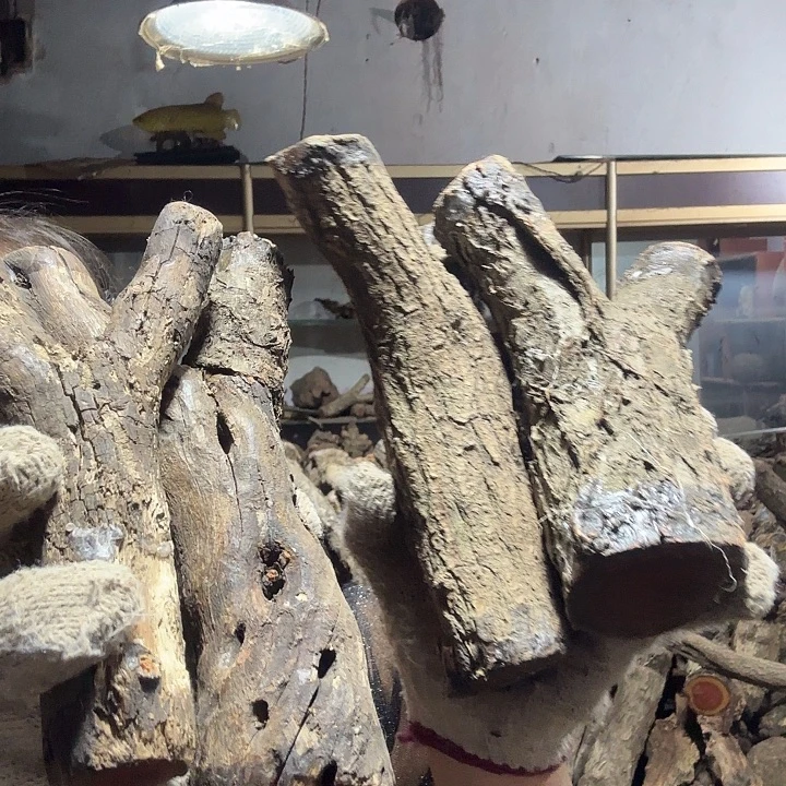 许***东火琉璃的故事是一个