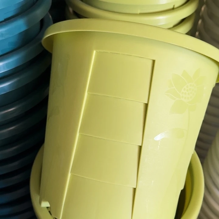 编号701果绿无托5个