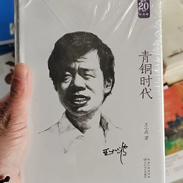 王小波青铜时代9米