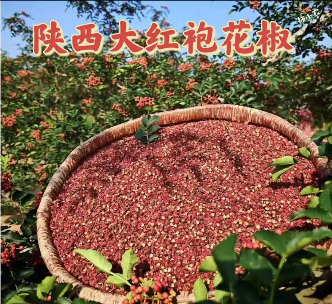 陕西富平大红袍花椒香麻浓郁颗粒精选调味品