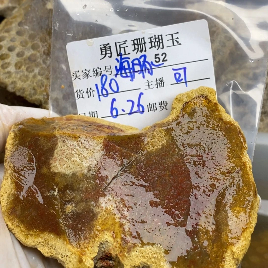 【闪购商品】硅化玉珊瑚玉未镶嵌小***歌