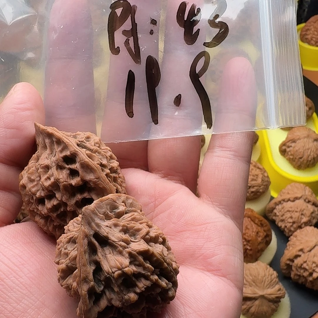 文玩核桃把件B*N北京官帽