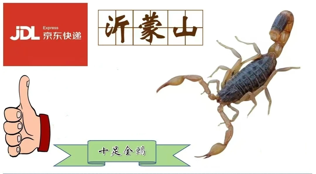 沂蒙山十足全蝎，小号蝎子，拍次链接发280只，三点五到四公分左右