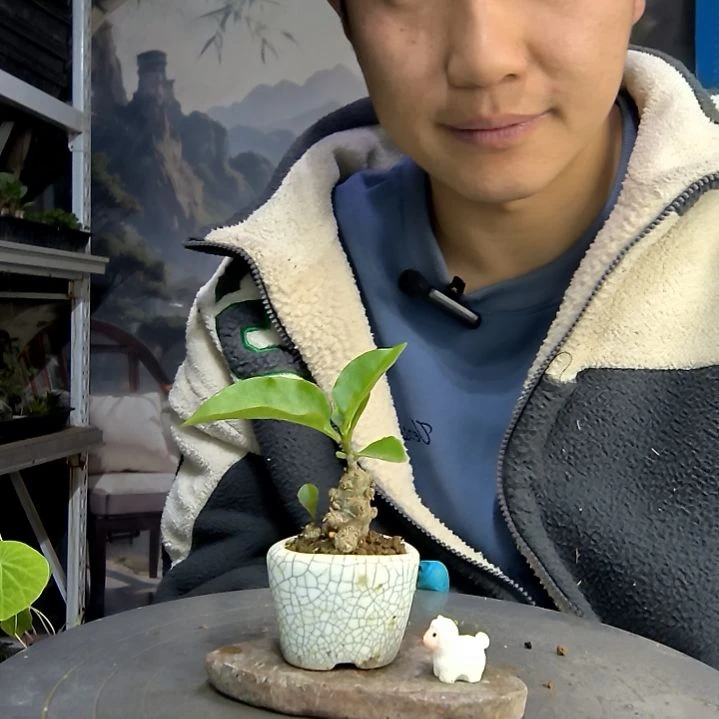我*猛中青园艺一物一拍145
