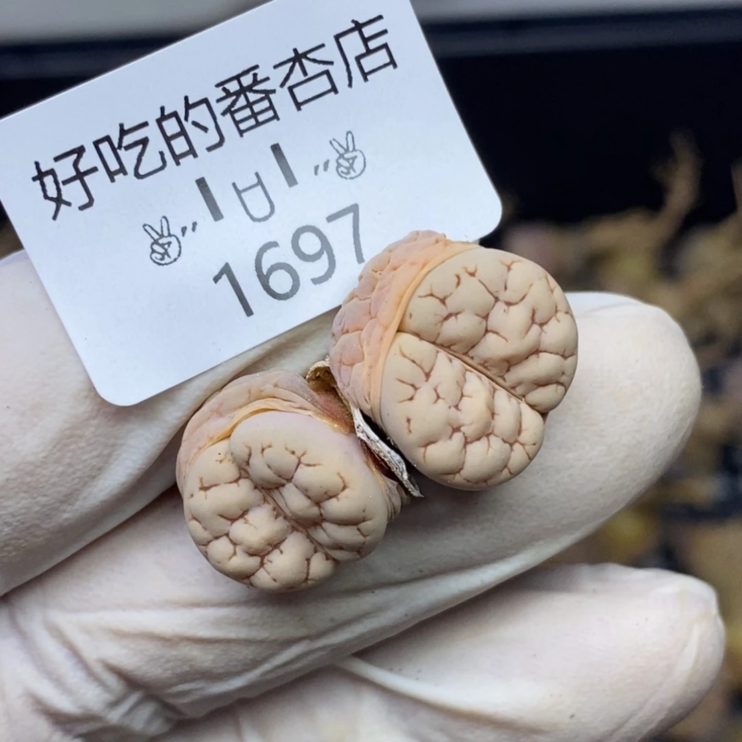 1697。零下拍保温.18包邮.当天凑哦