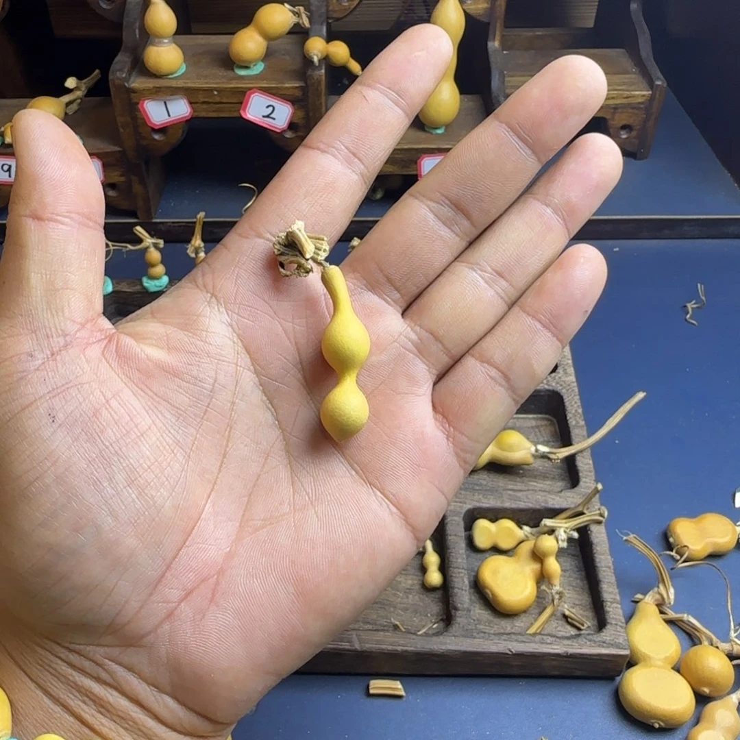 花****我是一只小小鸟地域鬼知道我怎么这么