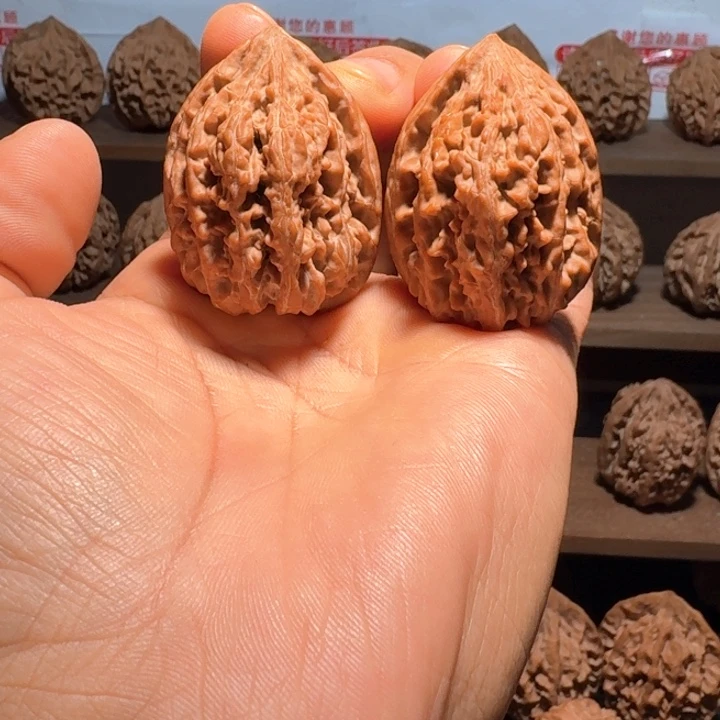 秦岭野生无名鸡心