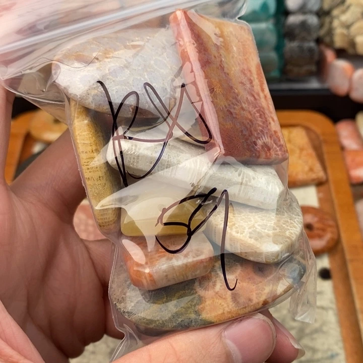 R***X硅化珊瑚（珊瑚玉）未镶嵌颈饰