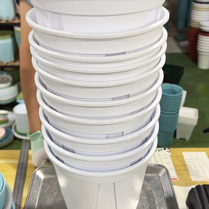 青山口21高21白色无托10个