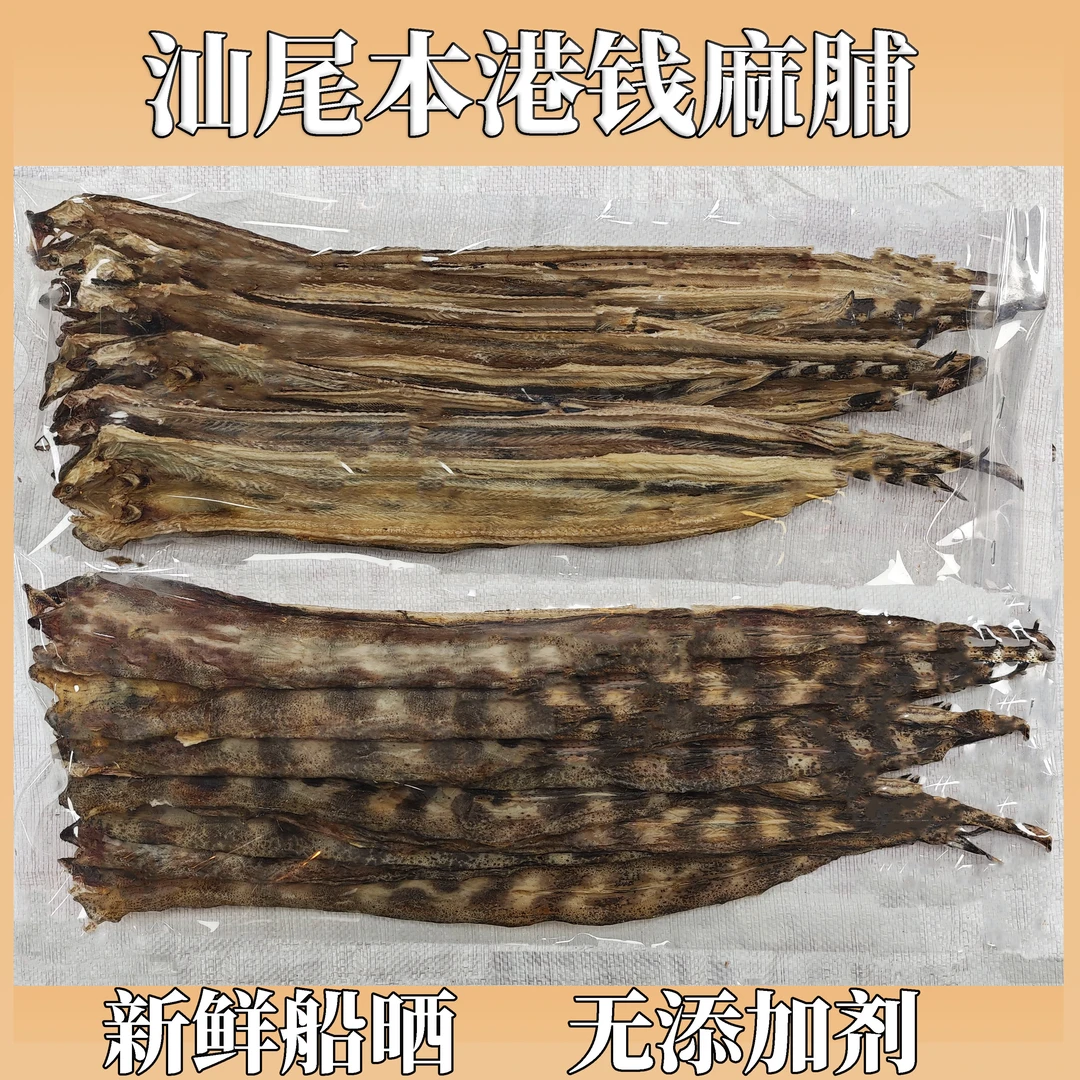 汕尾本港渔民船晒钱麻干花鳗干钱鳗麻脯海鳗鱼花麻脯花鳝鱼干新鲜