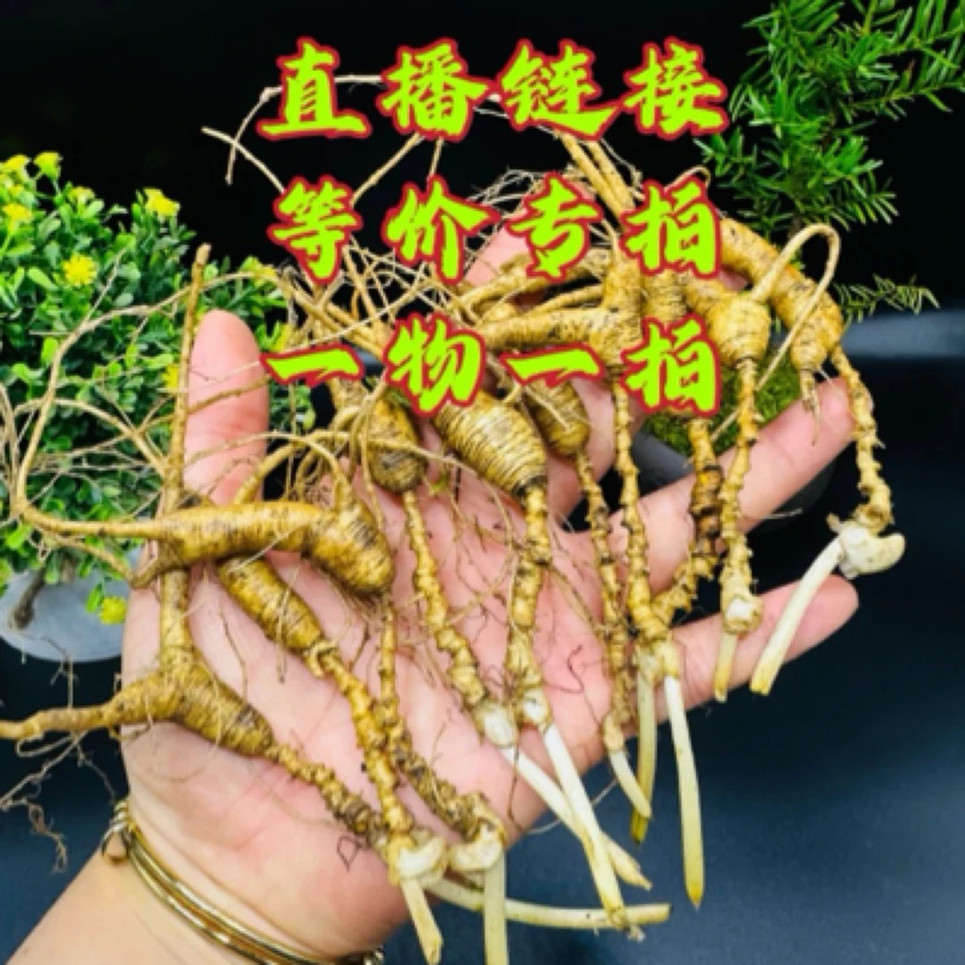 林下参新鲜【直播改价链接】现挖现卖林下参盲盒林下参